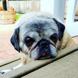 Meet your Posher, Celeste